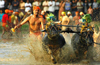 Tulunadu awaits favourable verdict on &rsquo;Kambala&rsquo;